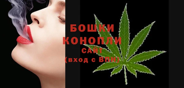 спиды Пестово