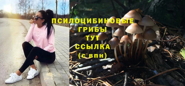 мдпв Пересвет