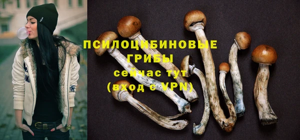 мдпв Пересвет