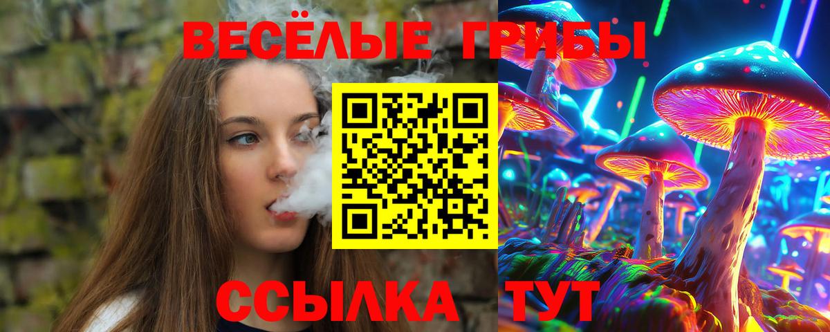 Галлюциногенные грибы Psilocybe Аксай