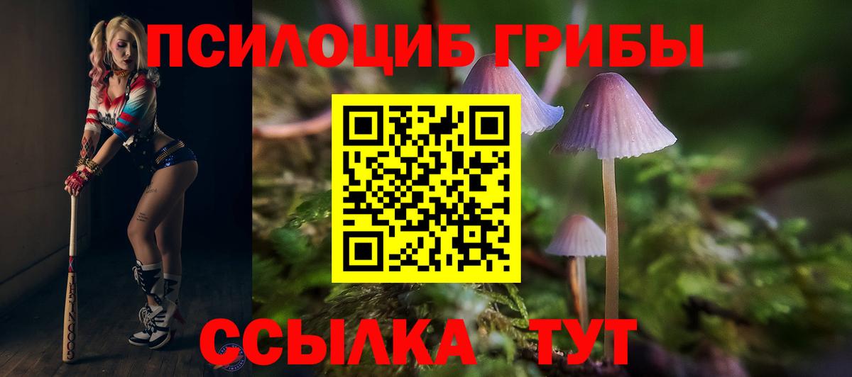 Аксай  Псилоцибиновые грибы GOLDEN TEACHER  Вход с VPN 